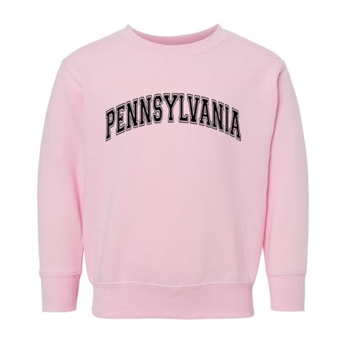 Arch Pennsylvania Kids Sweatshirt Toddler 5T Pink