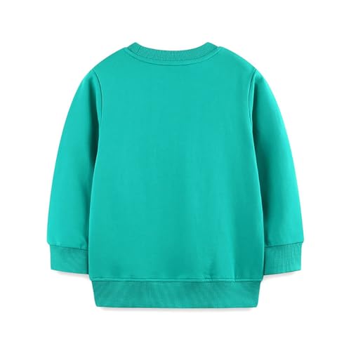 Boys Sweatshirts Casual Sweatshirts Cotton Sweatshirts Long Sleeve T-shirts Crew Neck Cartoon Tops for Boys-3932