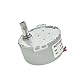 CHANCS Synchronmotor Micro Motor TYD-50 12V AC 5-6RPM Drahtwelle 19mm Festdrehung CW Elektrischer Getriebemotor für Marionetten