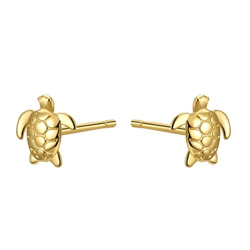 Boucles d'oreilles hypoallergéniques en argent S925 anti-irritation