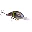 Neon Bluegill