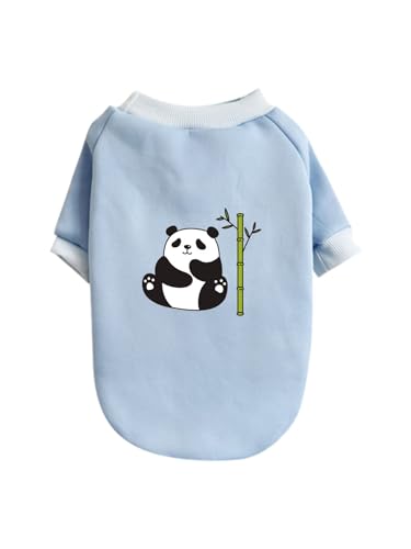   p_ ybg hbOEFA ̕ L ybgEFA h _炩 іh~   t@bV U ybgpi