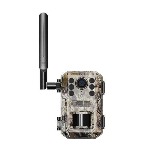 Cámara de sendero al aire libre 4G impermeable IP66 con carga solar 4