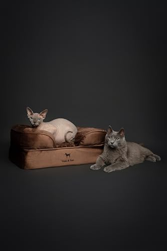 Image of NOAH & PAW Small Dog Bed, 20x15x8 Inch, Cat Bed for Indoor Cats, Orthopedic Eggshell Memory Foam Infused with Cooling Gel, Water Resistant Inner Cover Machine Washable (Velvet Collection)