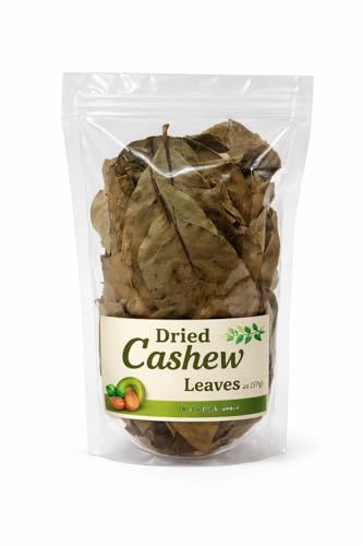 Dried Cashew Leaves – 100% Natural Organic Plant Leaves – Traditional Culinary &amp; Herbal Use – Carefully Dried Food Ingredient – Clear Resealable Storage Bag – 2oz