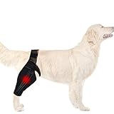 MEJORA LA CIRCULACIÓN DE LA SANGRE: con el soporte para el codo del perro, la circulación de la sangre de su mascota aumentará y acelerará la recuperación, evitando nuevas lesiones en las articulaciones y asegurando un cuerpo equilibrado y estable para su mascota.