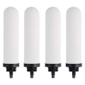 Gravity-fed Water Filter System, Replacement for Berkey® BB9®-2 Black Filters, ProOne® G2.0 Filters, Berkey® Gravity Water Filter System and Waterdrop® King Tank Series(Pack of 4)