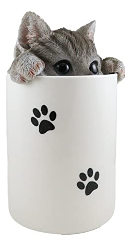 Ebros Gift Ceramic Feline Gray Tabby Cat Hiding and Peeking Dry Storage Jar With Paw Prints 6
