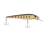 Berkley Hit Stick Fishing Lure, Brown Trout, 1/7 oz, 2in | 5cm Crankbaits, Largest Rolling Action of Any Berkley Hard Bait, Equipped with Sharp Fusion19 Hook