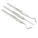 Precise Canada: Dental Elevators Apical Root Tip Pick Stainless Steel Instruments Set Of 3 Pcs