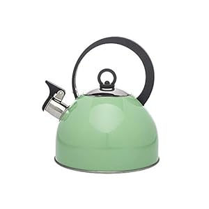 Studio Hot Water Tea Kettle, Stainless Steel Tea Pot with Whistle – 2.5L, Mint