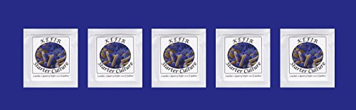 Kefir Starter Culture - Pack of 5 Freeze Dried Sachets