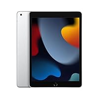 2021 Apple iPad (10,2", Wi-Fi, 256 GB) - Silber (9. Generation)