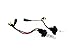 Race Sport (5202-3K-SB-RB) Replacement Bulb, Pair