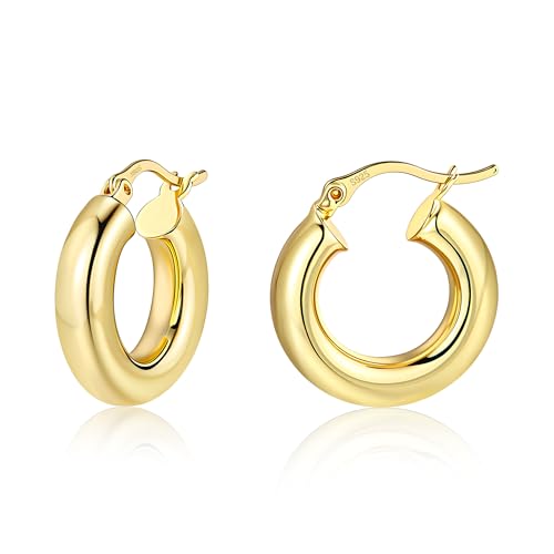 Image of Chunky Hoop Earrings for Women Small Huggie Hoops Earrings Fashion Jewelry