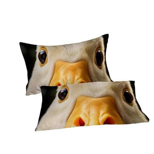 Housse de couette animaux imprimé 3D en microfibre lit double 200x200cm