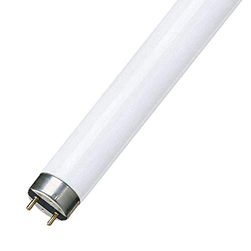 F58W 5FT T8 Fluorescent tube 840 - cool white