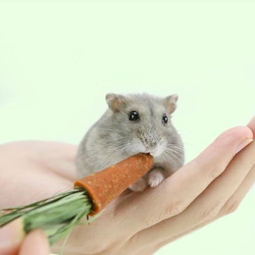 GANAZONO 18 peças de palitos de dentição de cenoura, hamster, coelho, brinquedos molares, brinquedos