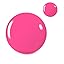 B - Creme Pink | Hot Pink
