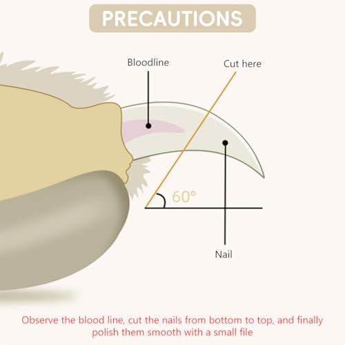 Image of Qpets Pet Nail Cutter Cute Cat Nail Clipper with with PP Handle, Stainless Steel Pet Trimmer with Safety Stop to Prevent Over-Cutting Spring-Loaded, Easy-Grip Design for Cats Dogs