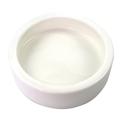 OMEM Worm Dish Mini Reptile Food Bowl Ceramics Made (L) Cover