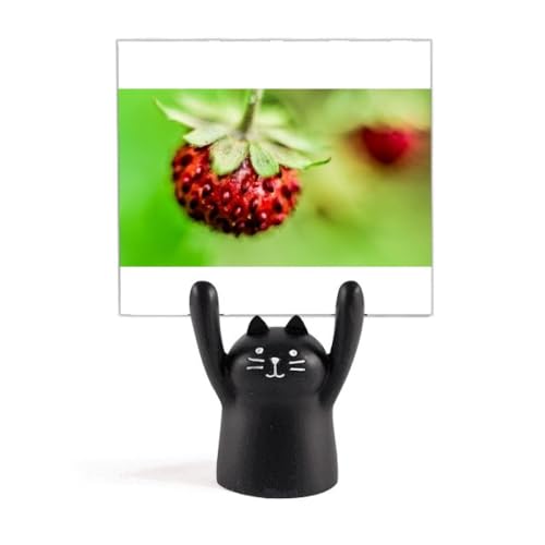 Support photo chat noir Fresh Berry stable pour maintenir vos images de nature