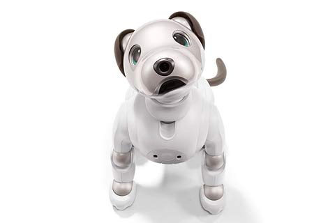 ソニー AIBO ERS-1000限定版 アイボーン付き