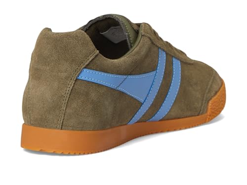 Image of Gola Harrier