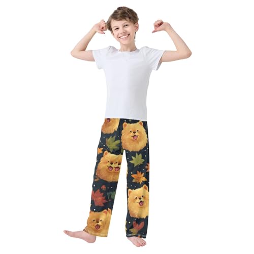Pomeranian Maple Leaf Boys Long Pants Soft Trousers Elastic Waist Kids Lounge Bottoms with Pockets S-XL3
