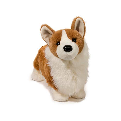 chadwick corgi