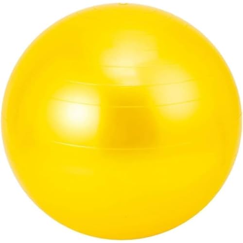 oX{[ K{[ tBbglX{[ FI X|[c tBbglX W[ Q[Kp܂ _XtBbglX{[ FI (55cm,yellow) [sAi]
