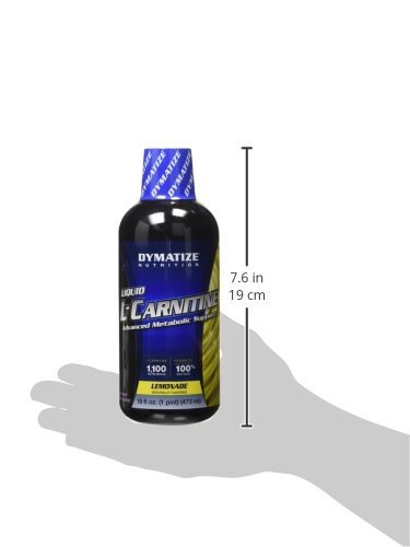 l carnitina gat liquida GAT Sport Essentials 1500MG Amino Acid L-Carnitine Liquid, Blue Raspberry  16 oz, Blue Raspberry 473 milliliters : Amazon.com.au: Health, Household &  Personal Care
