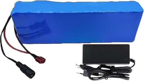Batterie lithium-ion 24V 40Ah pour scooter électrique et vélo avec chargeur XT60