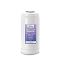 iSpring FWDS80K Anti-Scale Water Filter Replacement Cartridges, 10” x 4.5”, white