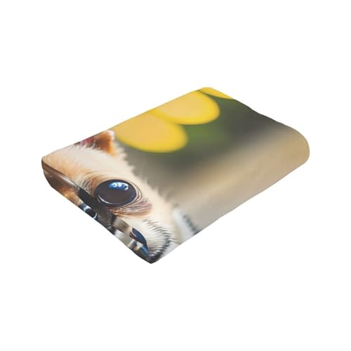 Chihuahua-Hunde-Motiv, ultraweiche Flanelldecke, Anti-Pilling, Mikro-Decken, Sofa, leicht, für alle Jahreszeiten