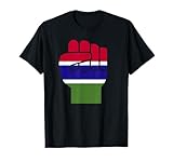 The Gambia Flag Gambian Flag Pride
