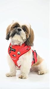 Harry Potter - Friends of Harry Potter Dog Harness - by Mutt of Course (Color - Red) (Small Size)