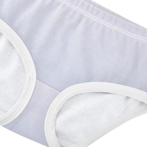 Joisal Artistic Girls Underwear Toddlers 2t Cotton Little Girl Panties Ombre Powder Blue Gradient Briefs Kids Undies4
