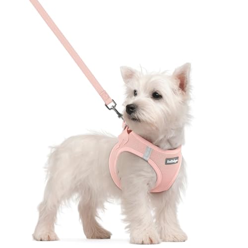 Image of rabbitgoo Dog Harness Small Sized and Leash Set, Step-in Puppy Pet Vest