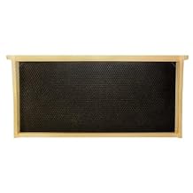 Mann Lake Premium Beekeeping Frames, Fully Assembled, Deep Rite-Cell Hive Frames, Beeswax Coating, Universal Fit, BPA & BPS Free, 9 1/8 Inches, Black, 20-Pack