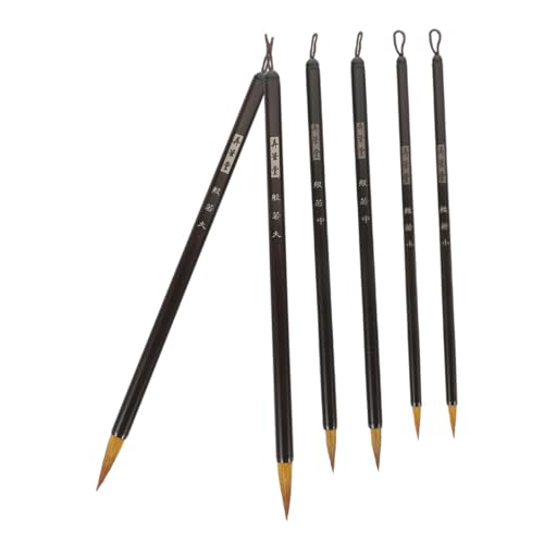 Homoyoyo Brush Calligraphy Set Chinese Traditional Ink Writing Brush for Boys and Girls Pen Fine Tip