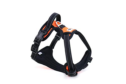 PetzMotion No-Pull Safety Dog Harness, Adjustable Reflective Outdoor Pet Vest with Handle, Durable Breathable Material (M - Medium, Orange)