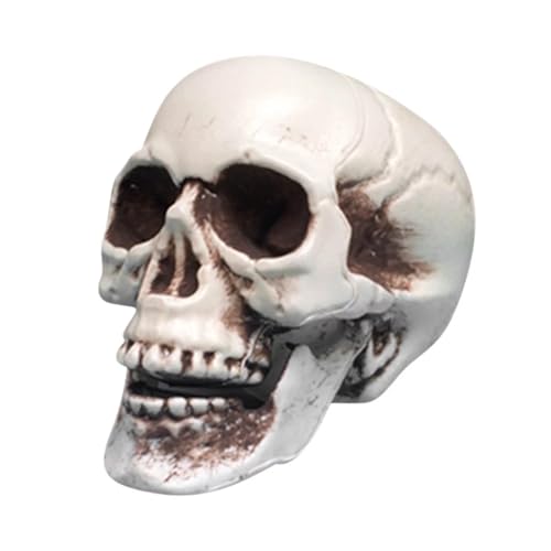 Durata e cavo: il cranio è realizzato in plastica spessa, cava all'interno, ben fatto, di alta qualità, forte e durevole, in grado di sopportare il peso. Perfetto per Halloween o per feste a tema pirata, carnevale, club, ristoranti, ecc., Puoi diffonderli su un tavolo, uno scaffale, un tappeto o una parete per creare un effetto strano. Aggiungi all'atmosfera della festa a tema Halloween.