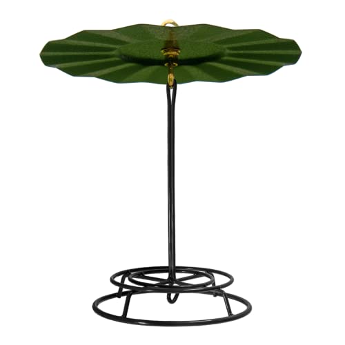 JCs Wildlife 9.5' Metal Rain Guard and Bird Seed Cylinder Feeder Kit - Protect Your Bird Food from Rain and Overhead Messes! (Green)