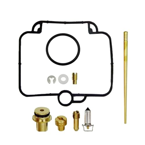 Kit de reparación de carburador Polaris Sportsman 500 para rutas de montaña y terrenos exigentes
