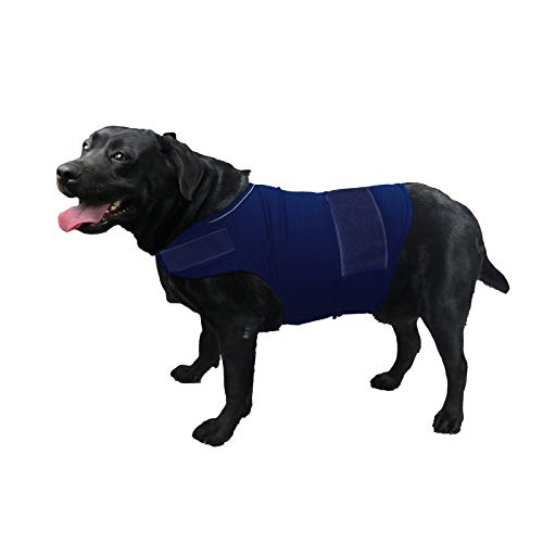 Thunderous Calm Top 10 Best Thunder Jackets for Anxious Pets Review and Buying Guide Furry