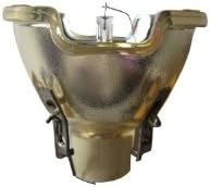 DLP Projector Replacement Lamp Bulb Fit for Optoma EX531 HD66 HD67 PRO150S PRO250X PRO350W TS526
