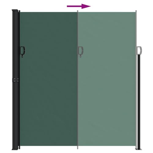 Protección visual para jardín con toldo lateral extensible verde de poliéster 220x500 6
