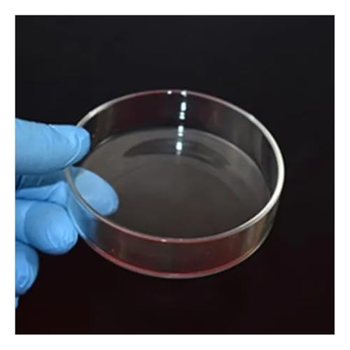 Plaques verre 150 mm lot de 5 pour fournitures de laboratoire et recherche