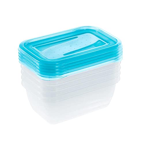 keeeper Frischhaltedosenset 5-teilig, 5 x 0,5 l, 15,5 x 10,5 x 6 cm, Fredo Fresh, Blau Transparent